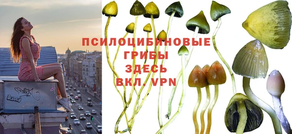 бутират Алзамай
